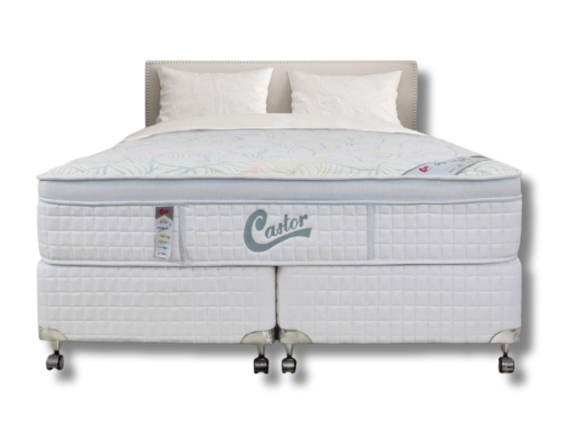 castor1