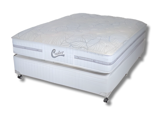 castor2
