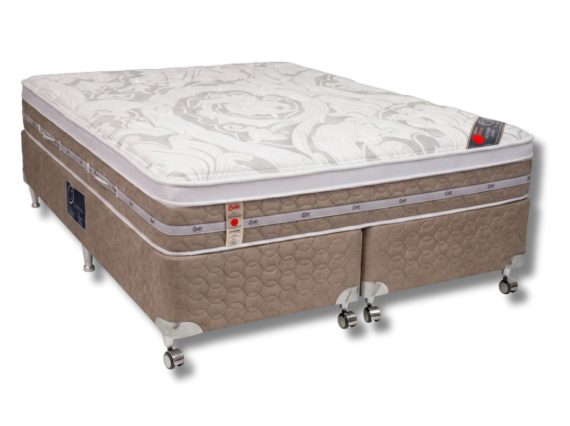 castor8
